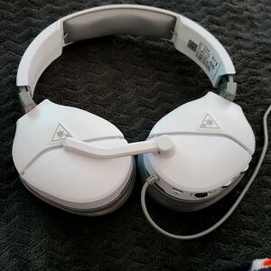 Turtle bay headset